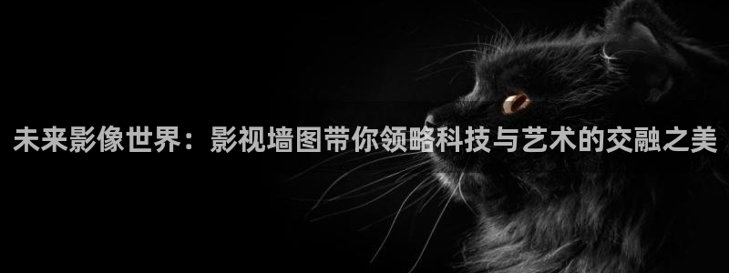 电车魔女光棍影院