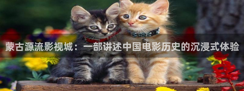 老司机光棍影院